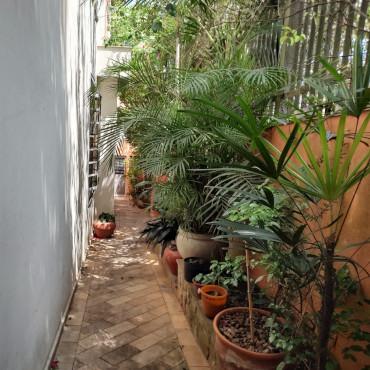 Corredor externo com jardim de plantas